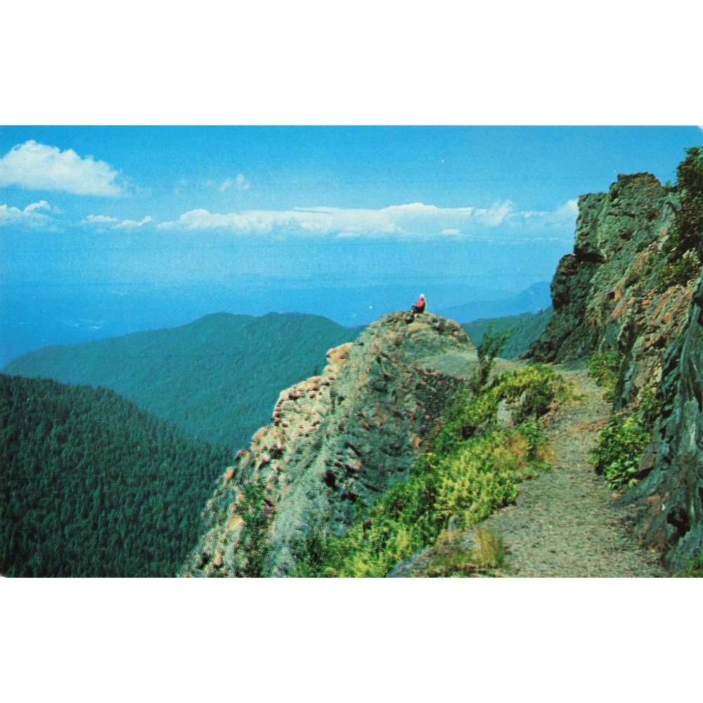 Vintage Charlie's Bunion Great Smoky Mountains National Park Postcard GS-53 1955 - Picture 1 of 2